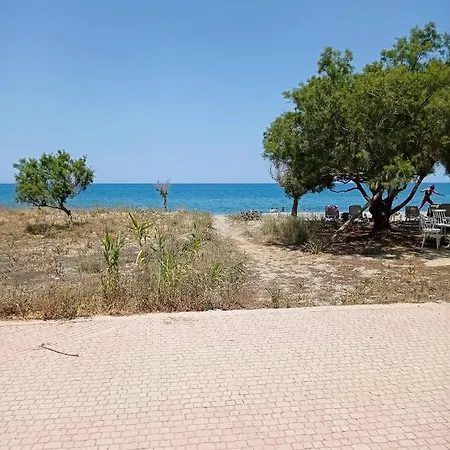 Infinity Night 干尼亞