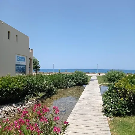 Infinity Night * 干尼亞